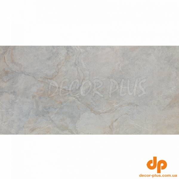 IMAGE SILVER 59,6X120(A) (1 сорт)