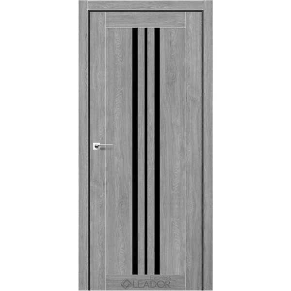 Двері міжкімнатні Leador Express CLEMATIS Артвуд Сільвер Чорне скло