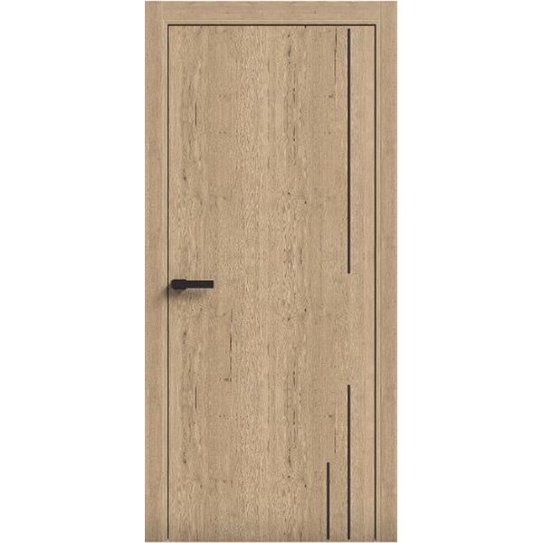 Двери межкомнатные Terminus Light ПК 10 Дуб Классический Молдинг ЧЕРНЫЙ или серый