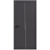 Двери межкомнатные Terminus Light ПК 17 Антрацит  Молдинг ЧЕРНЫЙ или серый