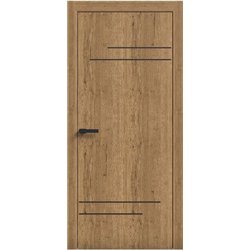 Двери межкомнатные Terminus Light ПК 09 Дуб Античный Молдинг ЧЕРНЫЙ или серый