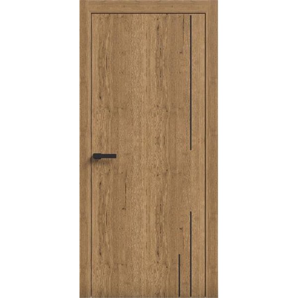 Двери межкомнатные Terminus Light ПК 10 Дуб Античный Молдинг ЧЕРНЫЙ или серый