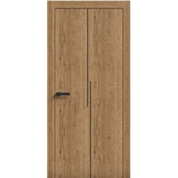 Двери межкомнатные Terminus Light ПК 17 Дуб Античный  Молдинг ЧЕРНЫЙ или серый 