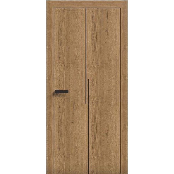 Двери межкомнатные Terminus Light ПК 17 Дуб Античный  Молдинг ЧЕРНЫЙ или серый 