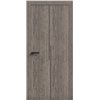 Двери межкомнатные Terminus Light ПК 17 Дуб Вулканический  Молдинг ЧЕРНЫЙ или серый