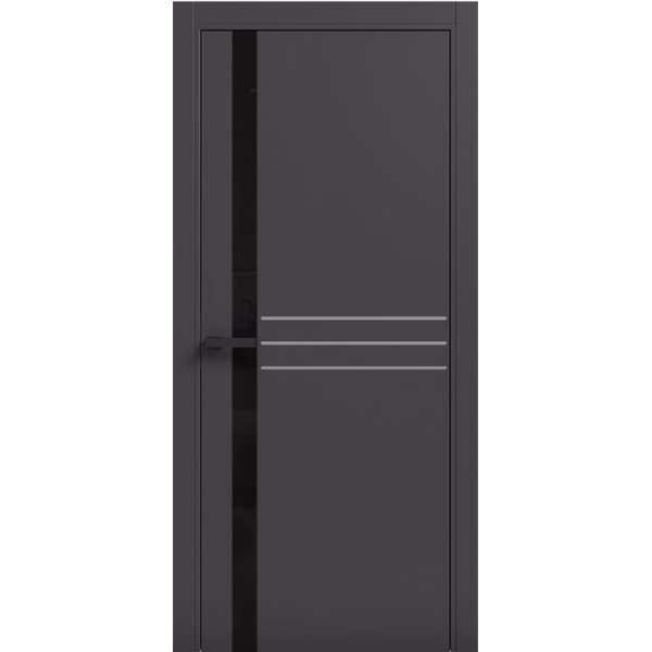 Двери межкомнатные Terminus Light ПК 16 Антрацит стекло Молдинг ЧЕРНЫЙ или серый  