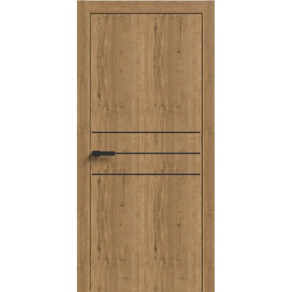 Двери межкомнатные Terminus Light ПК 06 Дуб Античный Молдинг ЧЕРНЫЙ или СЕРЫЙ