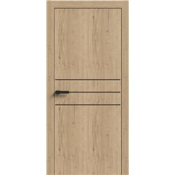 Двери межкомнатные Terminus Light ПК 06 Дуб Классический Молдинг ЧЕРНЫЙ или СЕРЫЙ