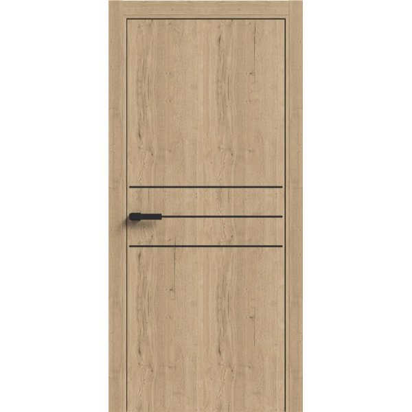 Двери межкомнатные Terminus Light ПК 06 Дуб Классический Молдинг ЧЕРНЫЙ или СЕРЫЙ