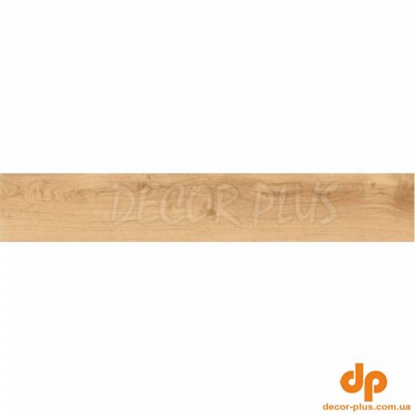 LATINA HONEY (1 сорт)