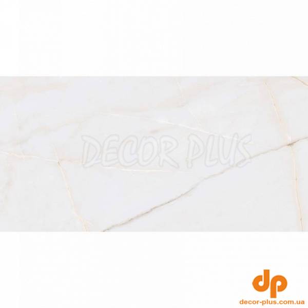 Грес ESSENZA Mat 60х120