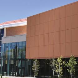 SOFT PEACH FULL BODY (1 сорт)