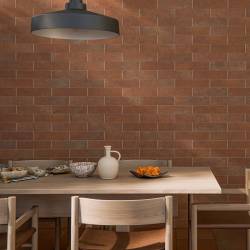 KAMIEN ARGILLA TERRA (1 сорт)