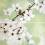 Декор EARLY SPRING PANNO FLOWER 59,4х60