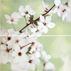 Декор EARLY SPRING PANNO FLOWER 59,4х60