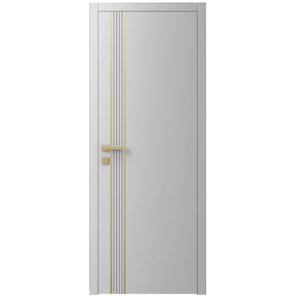 Двері міжкімнатні Ваші Двері Charm 10 RAL 7047  золотий молдинг