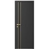 Двері міжкімнатні Ваші Двері Charm 10 Графіт золотий молдинг