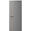 Двері міжкімнатні Ваші Двері Charm 2 RAL 7004 золотий молдинг 