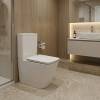 DFL2170211W Flow square Компакт 610x365x825мм з кришкою soft-close, Vortex Flush, білий глянець (1 сорт)