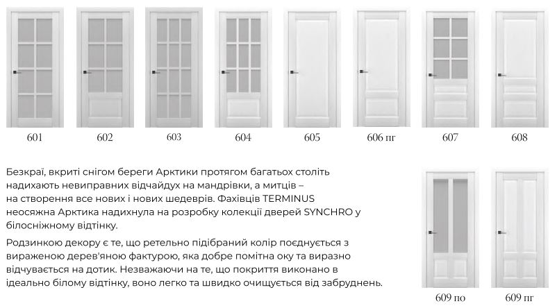 Двері Terminus Synchro