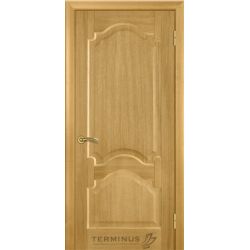 Дверь шпон Терминус Гранд (мод.19) венге ПГ