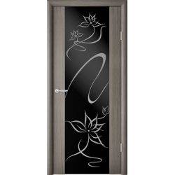 Двері Albero Сан-Ремо-1 сірий кедр Чорний Симфонія