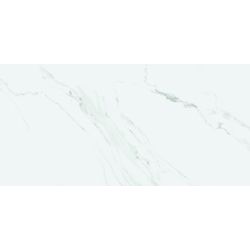 Плитка Stevol Carrara Gris MYR (матовая) 60х120