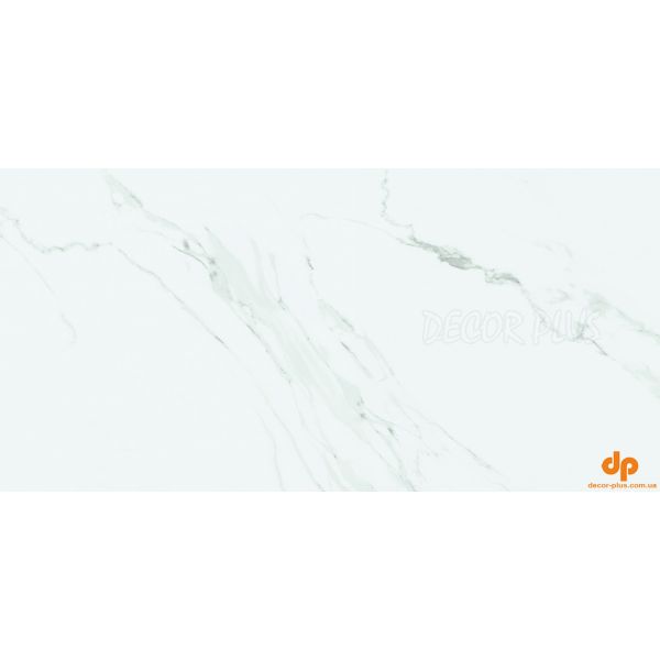 Плитка Stevol Carrara Gris MYR (матова) 60х120