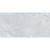 Плитка Stevol Мрамор світло-сірий ST6121008P 60х120