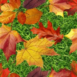 Стеклянная плитка 3-D Art-S Осенние листья 88