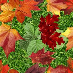 Стеклянная плитка 3-D Art-S Осенние листья 90