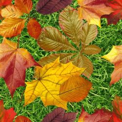 Стеклянная плитка 3-D Art-S Осенние листья 91