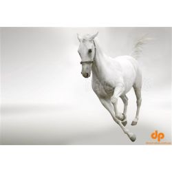 Стеклянная плитка панно 3-D Art-S Лошадь 10