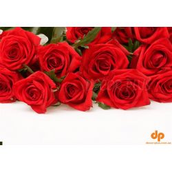 Стеклянная плитка панно 3-D Art-S Розы 14